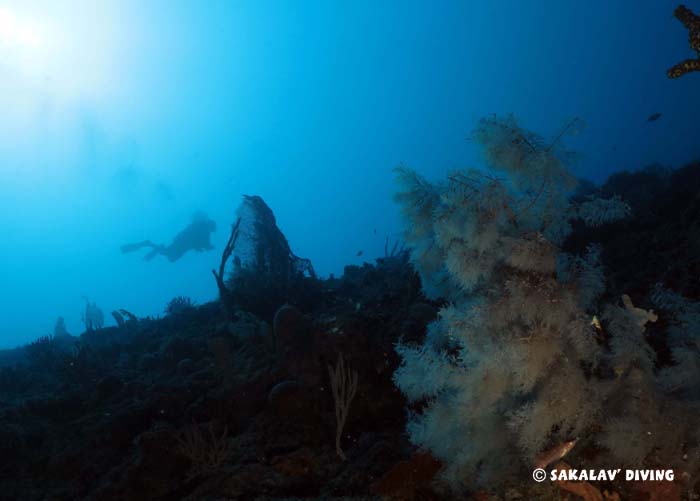 north liveaboard dive cruise in Nosy Be